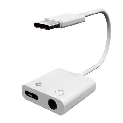 中国 Mobile Phone 2 In 1 USB Type C To 3.5 Mm Charger Audio Jack Converter Earphone 販売のため