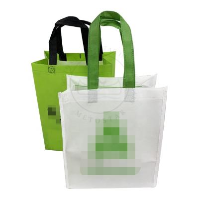 China Non Woven Eco-Friendly Retail Tote Shop Bags Bolsas Biodegradables Online Reusable Shopping Bag for sale