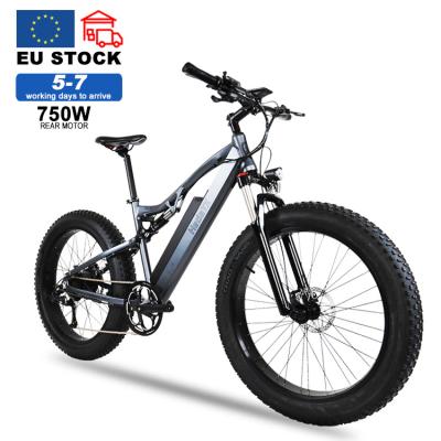 China Popular E Bikes Fat Tire 1000 Watt Electric Bicycle Mountain Bike Electric Full Suspension for sale