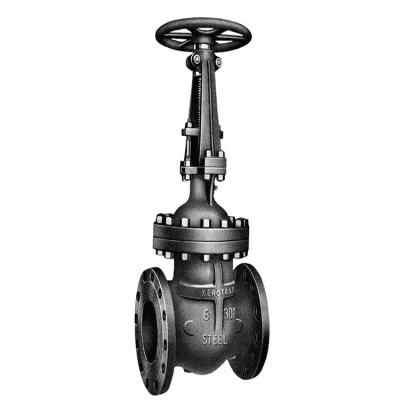 China Carbon Steel Stainless Steel Valve DN15~DN1200 Flanged Rising Stem Gate Valve for sale