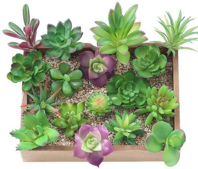 China Decorative Succulent Plants Loose Fake Realistic Small Succulents Assorted Mini Greenhouse Greenery Mini Plastic Cactus Stems for sale