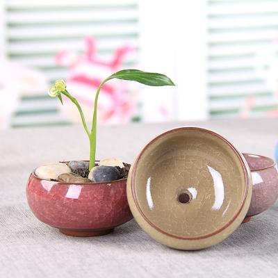 China Plants Pots Mini Ice Crack Glaze Ceramics Flowerpot Home Garden Home Decor Zakka Modern Succulent Flower Pot for sale