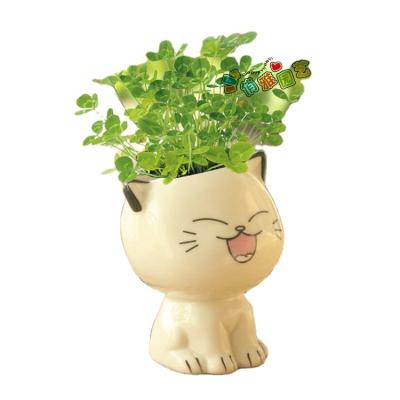 China Indoor Tiny Succulent Cat Planter Porcelain Animal Flower Pots Cheap CLASSIC Cute Ceramic Cartoon Polanters Pots for sale