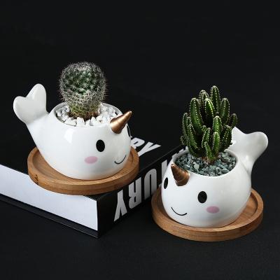 China Small Low Moq Rts Bonsai Flower Pots Narwhal Pot Planter Unicorn Whale Animal Succulent Plant Container CLASSIC Cute Ceramic Green Green for sale