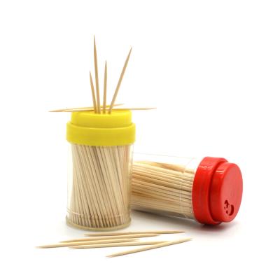 China Sale Production Color Shape Adult Oral Cleansing Natural Round And Short Toothpick In Bottle for sale