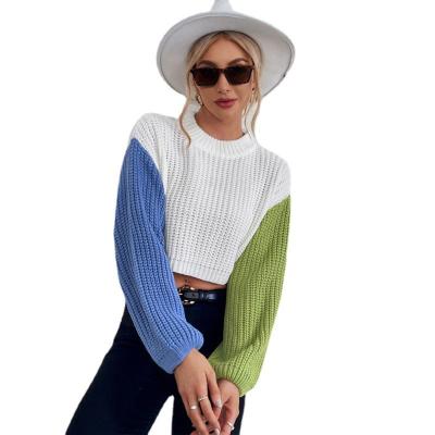 China Breathable Stitching Colors Fashion Winter Women Breathable Solid O-Neck Sweater Shorts for sale