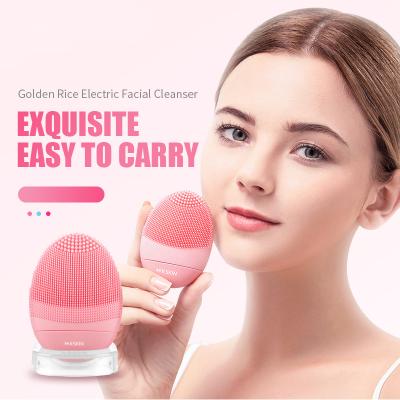 China New Lameila Beauty Tool Manual Face Wash Cleansing Brush C0362 Facial Pink Sale Soft Silicone Blue Set OEM Pcs Color Master Package KD308B for sale