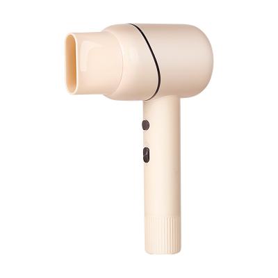 China Professional Home Hair Care Ionic Factory Customized Hot Blower for sale