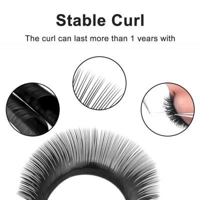 China Makeup Eyelashes 8-14mm Mixed Rapid Volume Lash Extensions Cc/D/Dd Curl 0.10 3D 5D Yy Automatic Blooming Flower Lashes Individual Lashes for sale