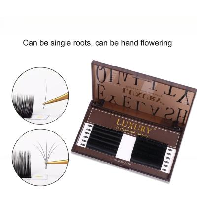 China Individual Eyelash Extension 12 Rows Matte Black Volume Eyelash Extensions Beauty Salon Mixed Length Lash 8-14mm for sale