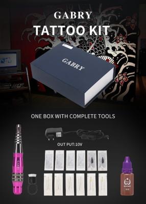 China Babry Permanent Makeup Tattoo Machine Kit for Eyebrows Eyeliner Lips Tattoo Factory OEM for sale