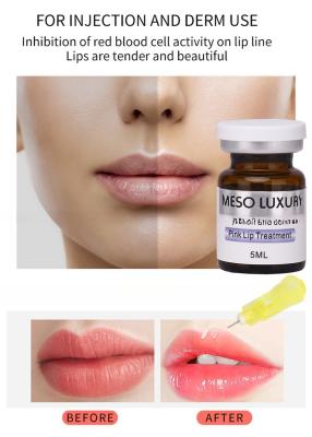 China Meso Luxury Brand Wholesale Transparent Lip Plumping Moisturising Pink Lip Treatment Skin Fillers 5ml for sale