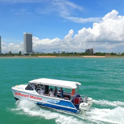 China Passenger Boat Cat Power Catamaran Aluminum 8.5m28ft Ferry Travel Boat for sale