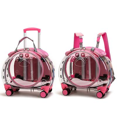 China Breathable Hot Pink Fashion Clear Vision Trolley Dog Cat House Travel Backpack Pet Portable Carrier for sale