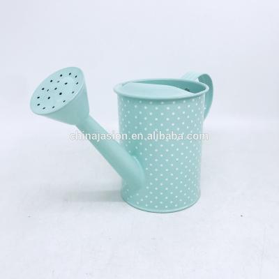 China JASION Vintage Watering Box Good Quality Matte Indoor Gardening Watering Sprinkler On Sale for sale