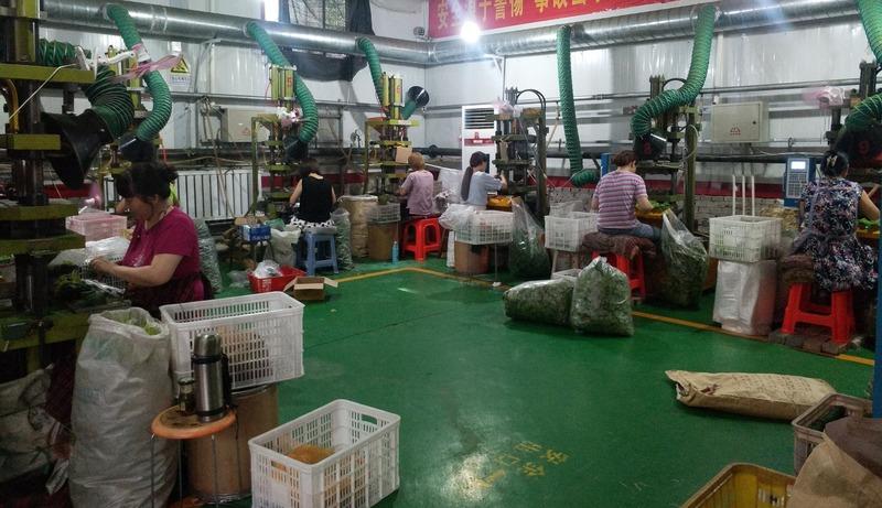 Verified China supplier - Renqiu Dingding Simulation Plant Factory