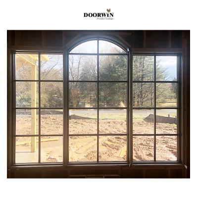 China Swing Suitable For North American Climate Double Glazed Red Oak USA Imported Large Fix Glass Windows for sale