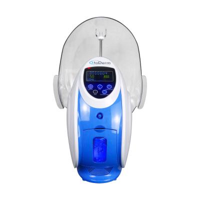 China Facial Machine Oxygen Air Infusion Oxygen Pigment Removal O2 Derm Machine Mask Machine for sale