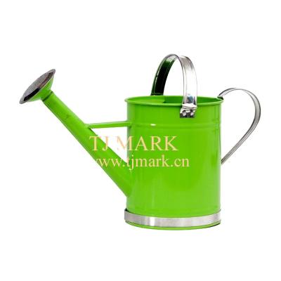 China Outdoor Garden Watering Metal BOX Wholesale Water Cans Stainless Steel Garden Watering 25-35 Days 12.5*H15.5CM 1000PCS TJ Green Blue BRAND for sale