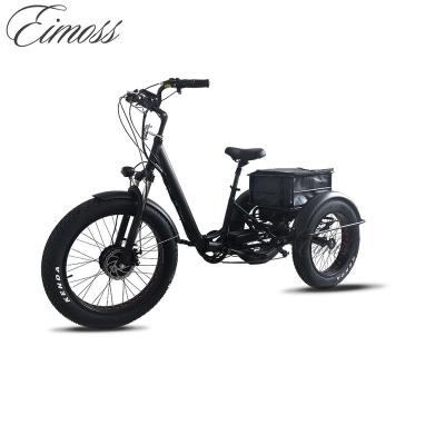 China Double Drive 750w Wheel Aluminum Alloy Three Wheel Scooter Fat Tire Ebike Cargo Tricycle Electric Bicycle Vehicle High Power 20inch Load for sale