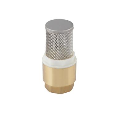 China General Brass Suction Valve S.S Filter / Brass Non Return Spring Vertical Valves for sale