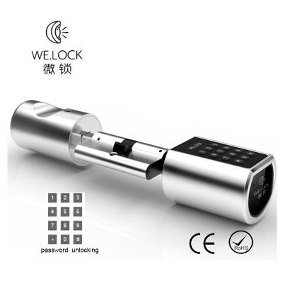 China Wide Application 304 Stainless Steel Keyless Smart Lock With ISO9001 Certificate for sale