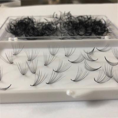 China Factory Price Sensitive Private Label Lash Box Packaging Individual Pre Made Loose Fan Volume Eyelash Extension for sale