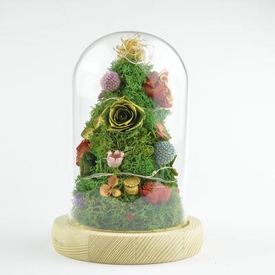 China 100% Natural Fresh Flower Real Best Selling Preserved Flower Preserved Christmas Gift Christmas Tree Gift Dried Flowers Glass Box for sale