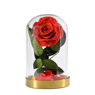 China Wholesale Romantic Preserved Rose Lasting Fresh Touch Forever Real Preserved Rose Flower In Glass Dome With Stem Roses for sale