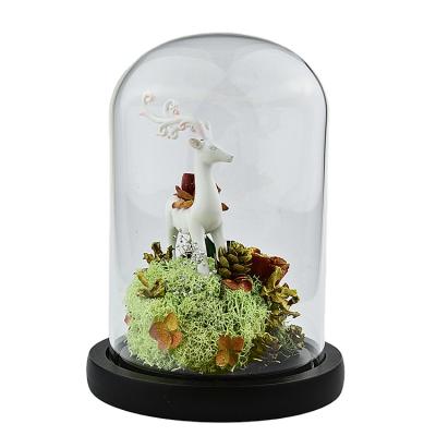 China Wedding decoration & Wholesale Gift Preserved Flower Box Christmas Gift Deer Preserved Flowers In Glass Dome Box For Gift for sale