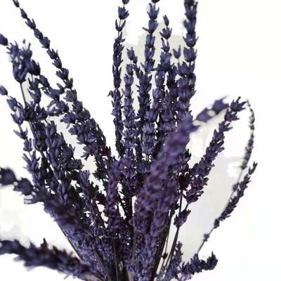 China Hot Wholesale High Quality Immortal Preserved Diy Material Natural Touch Flowers Lavender Flower Lavender For Gifts for sale