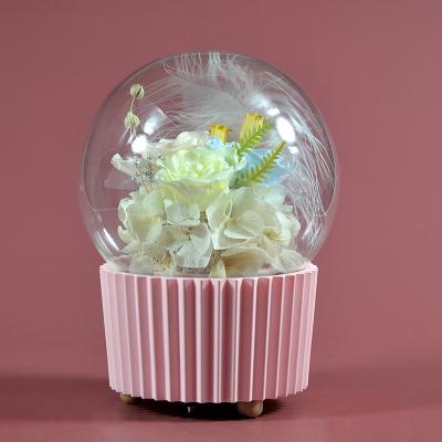 China Fashional Wholesale Best Selling Preserved Flower Cogs Music Box Preserved Flower Mounted For Decoration for sale