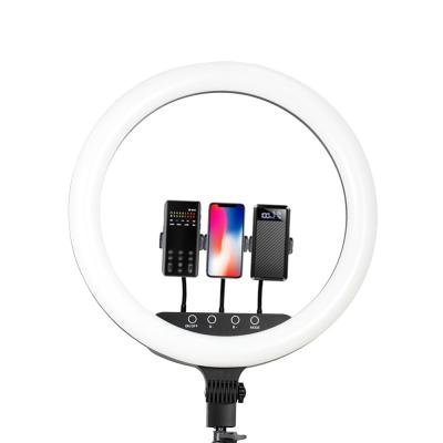 China Aluminum Material Led Home Use Usb Pendal 18 Inch Portable Selfie Selfie 6inch 8 Ring Light for sale