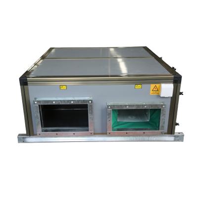 China Hotels China HVAC System AHU Horizontal And Ceiling Mounted AHU Air Handling Unit Cost for sale