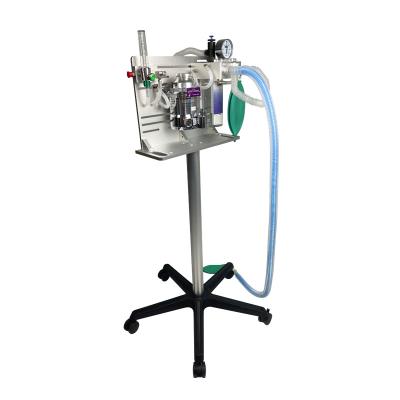 China animal vaporizers dental anesthesia machine price for sale