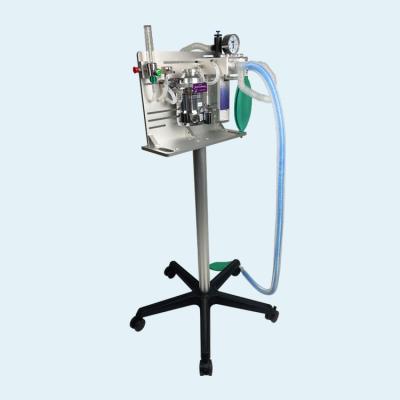 China Animal Anesthesia Machine Compatible CT And MRI Veterinary Anesthesia Machine For Pet Hospital for sale