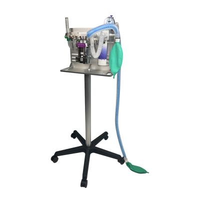 China Medical Equipment Animal Veterinary Physiotherapy Portable Anesthesia Machine Ventilator for sale