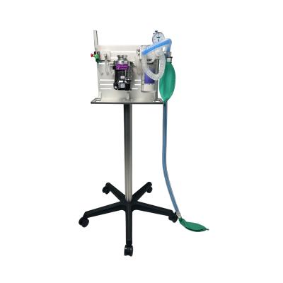 China Veterinary Animal Anesthesic Workstation Machine Veterinary Medical Equipment for sale