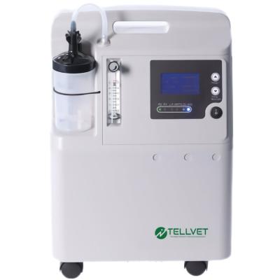 China High Quality Animal Veterinary Surgical Equipment 5L Oxygen Concentrator For Pet Surgery for sale