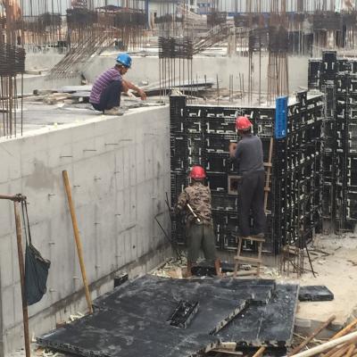 China Single Faced Peri Trio Plastic Pallet Cavity Formwork Plastic Formwork for sale