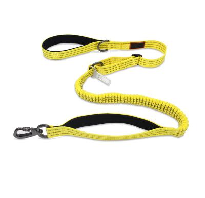 China Reflective Multi-Function Strong DETACHED Dog Training Bungee Dog Leash Nylon Rope for sale