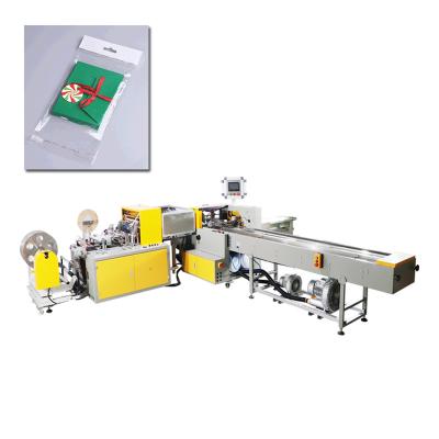 China automatische bauschende Maschine 13kw CPP-Film-Taschen-verpackender Ausrüstungs-Kartenärmel zu verkaufen