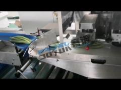 3KW Vegetable And Fruit​ Packing Machine Reciprocating Horizontal With Online Labeling