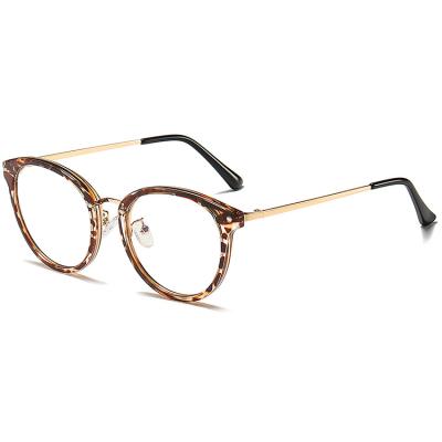 China Retro Round Round Tortoise Color Eyewear TR90 Large Frame Blue Light Glasses For Women Optical Glasses for sale