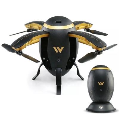 China Foldable Radio Control Toy High Quality Ball UAV Bumblebee Wifi Egg Bumblebee Thrusters With 480P WiFi Camera for sale