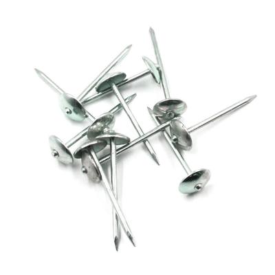 China BWG8-BWG13 Zinc Galvanized Umbrella Head Covering Smooth Leg Nails For Construction for sale