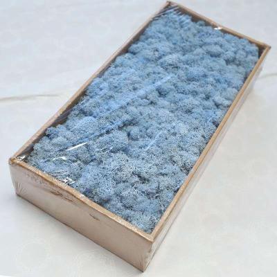 China Natural Touch High Quality Colorful Home Decor Preserved Moss Wholesale Preserved Moss for sale