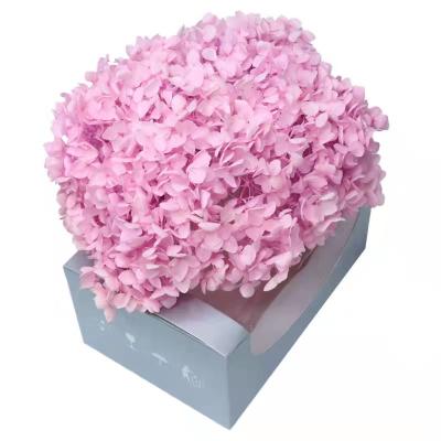 China Flower Arrangement Decoration Preserved Wholesale Colorful Preserved Flower Hydrangea Flower For Wedding Decoration for sale