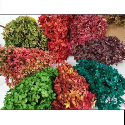 China Natural Hot Touch Products Everlasting Hydrangea Preserved Hydrangea Preserved Wedding Decor for sale