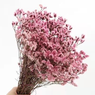 China Wholesale natural touch preserved mini natural preserved crystal flower grass for wedding decoration for sale